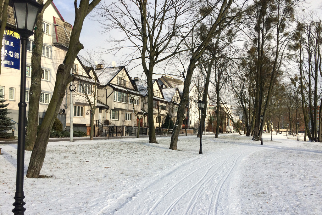 Зимние пейзажи Калининграда