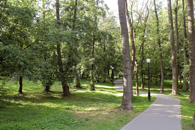 Городской парк Зеленоградска